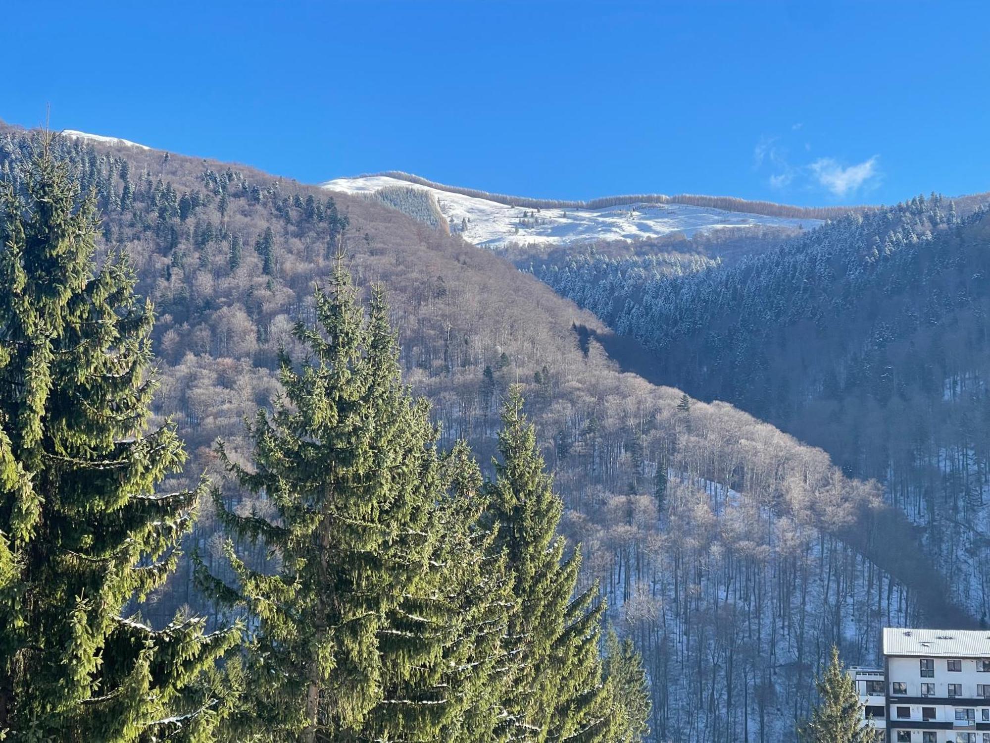 The Nest Apartment Sinaia Exterior photo